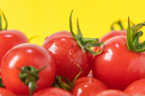 西红柿资料,营养丰富的健康之选
