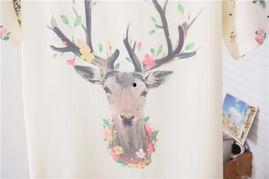 鹿韩的图片,自然与人文的和谐画卷