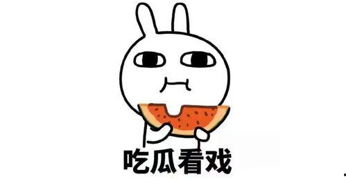 圈子娱乐吃瓜君,吃瓜君带你探秘明星幕后故事