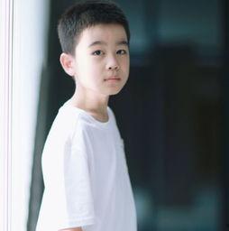 王子辰 个人资料