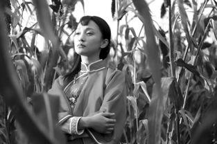 红高粱演员,再现经典影视角色的魅力