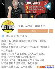 快手十大网红最新排名,十大网红最新排名揭晓