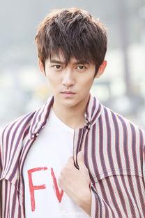 梦男孩演员,探寻青春梦想与成长的璀璨旅程