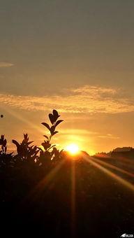 艳阳天的图片,艳阳天下的美好时光