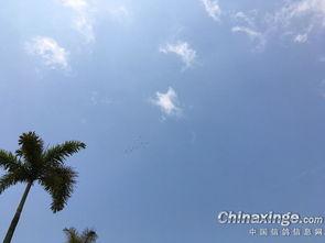 艳阳天的图片,艳阳天下的美好时光