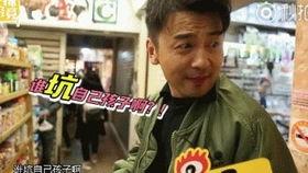 雷佳音乐背景,音乐之路上的璀璨星辰