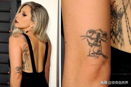 明星身上纹身的意义,揭秘星光熠熠的纹身意义