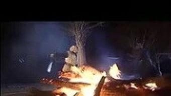 飞虎神鹰演员表大全,实力派明星齐聚一堂，演绎传奇抗战故事