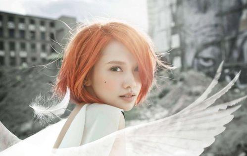 杨玉林个人资料,从平凡走向卓越的人生传奇