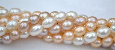 珠拉的图片,一幅自然画卷的生动呈现